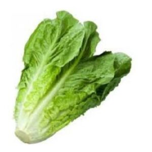 خس